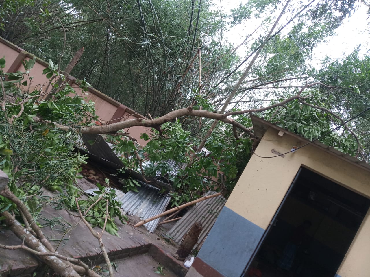 Kitchen shed shattered by Amphan